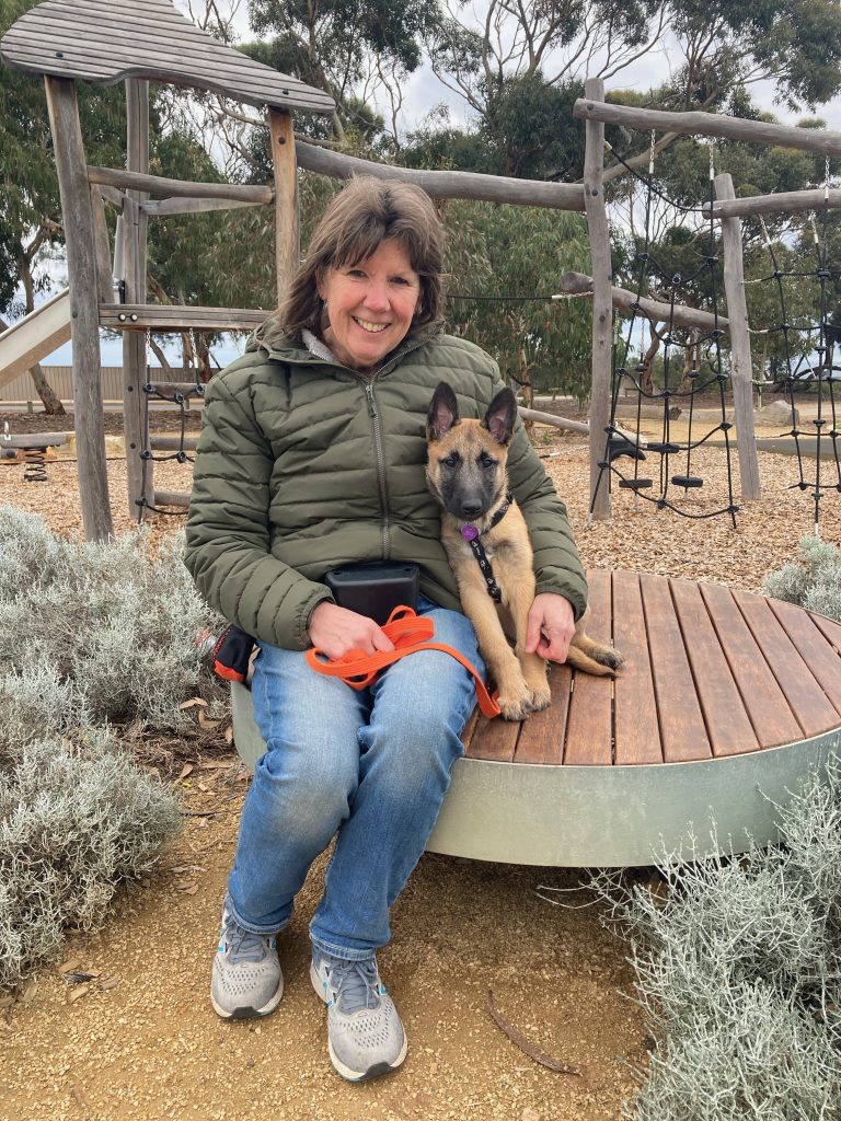 Woman sitting on wooden bench cuddling a fawn coloured Belgian Shepherd puppy